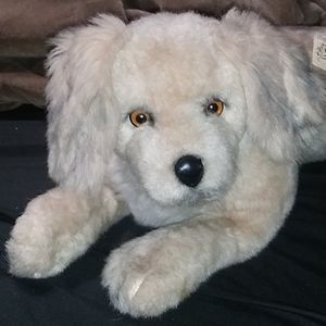 ⬇️❣️⬇️Yomiko Life Looking Golden Retriever/Lab